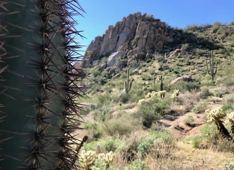 Why Phoenix is the Next Best Place