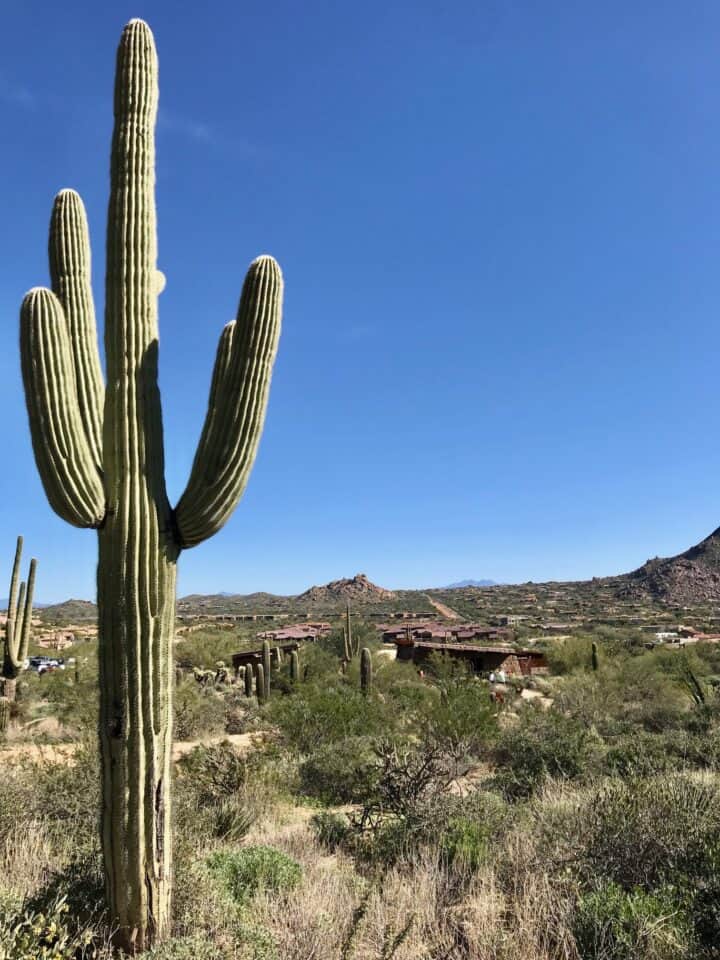 Pinnacle Peak Park hiking trail in Scottsdale, Arizona