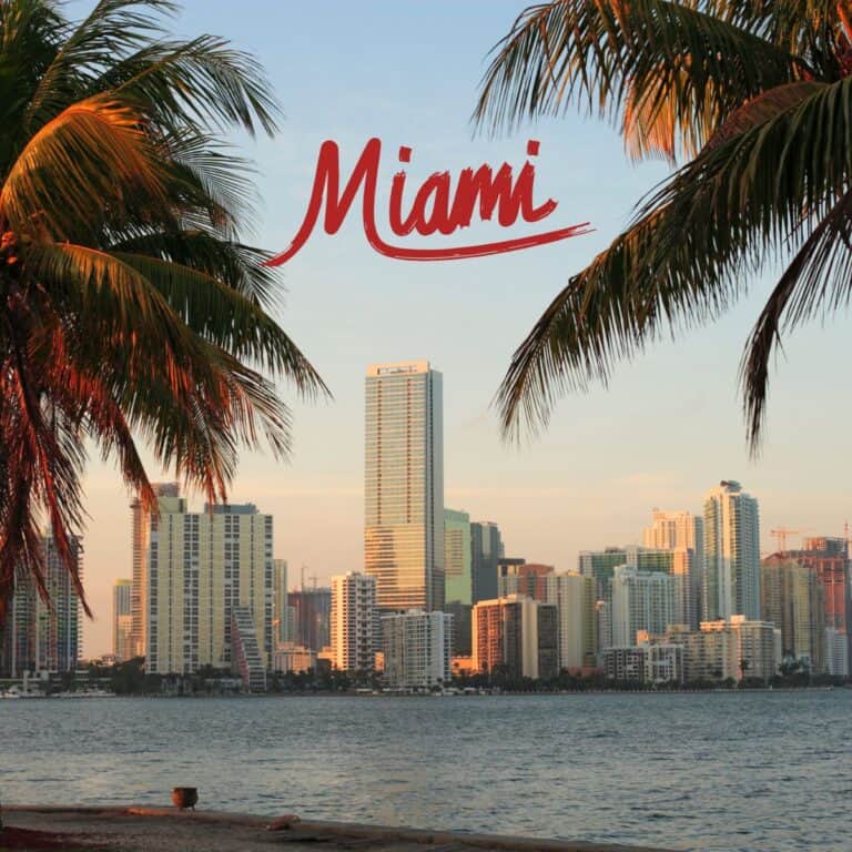 Miami cityscape with palm trees.