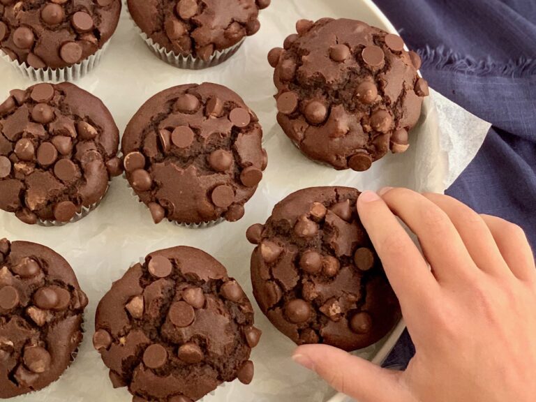 Chocolate muffins with chocolate chips on top.