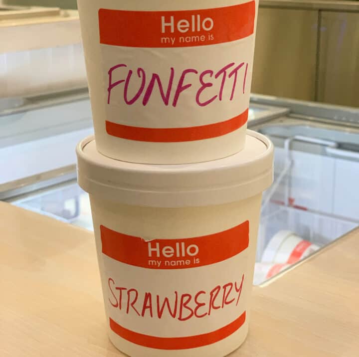 Dairy free ice cream pint from Monkeywrench in Salt Lake City