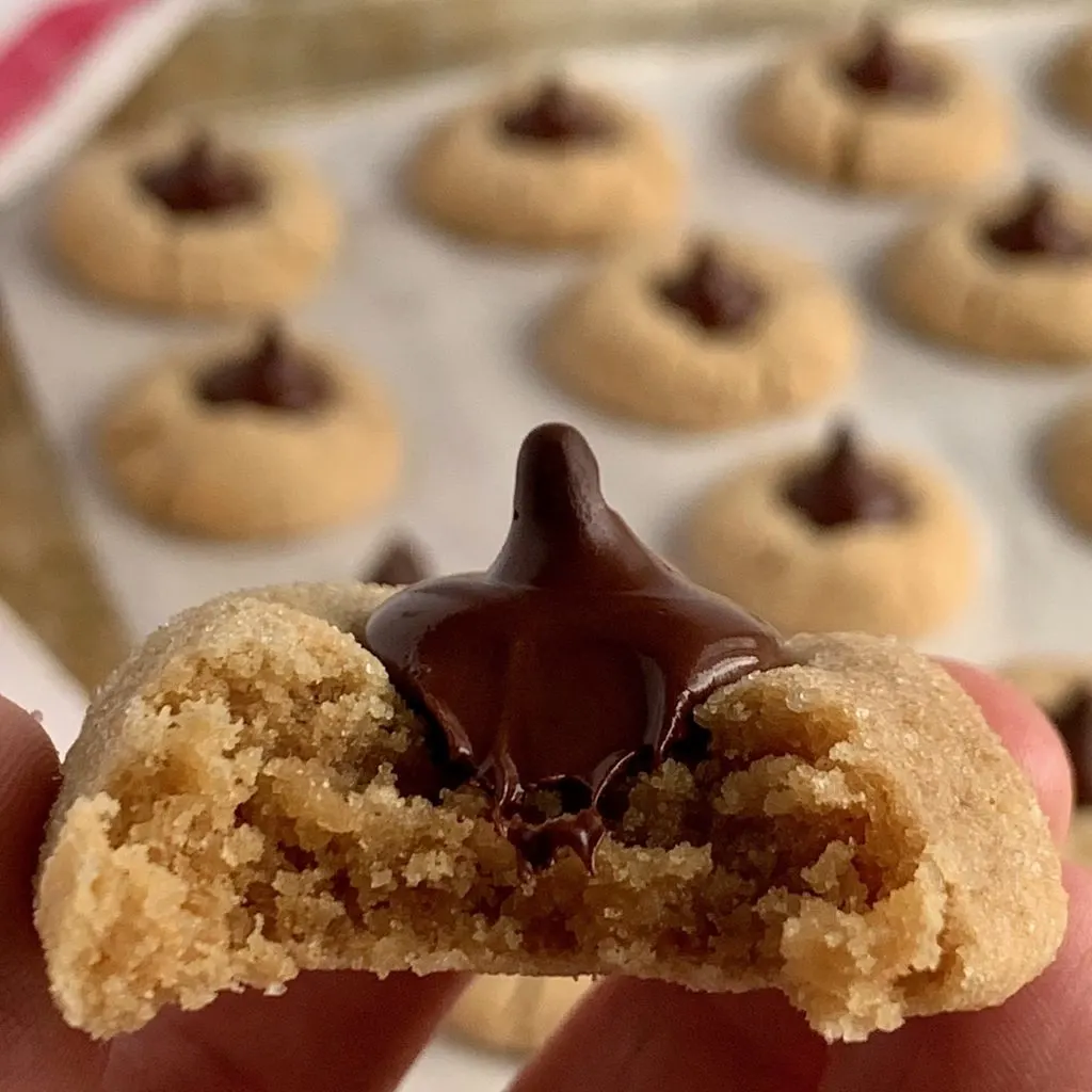 A baking sheet full of peanut butter sugar cookies after they've come out of the oven with chocolate kisses on them