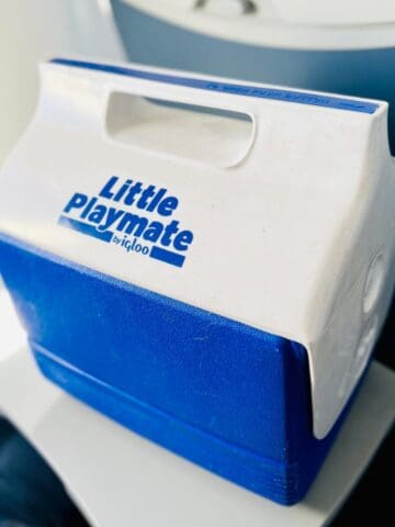 A cooler with gluten free and dairy free snacks for travel.