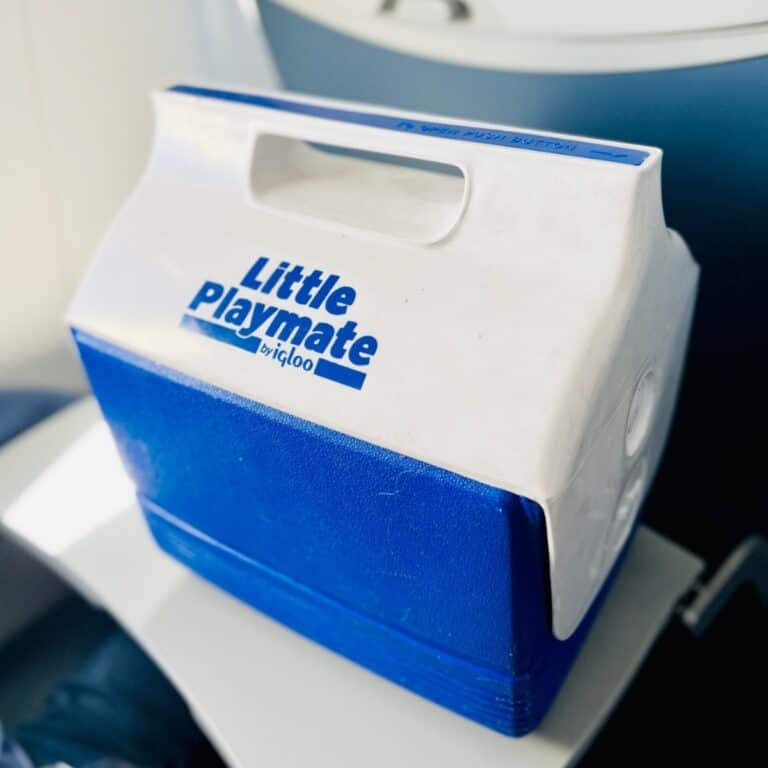 A cooler with gluten free and dairy free snacks for travel.