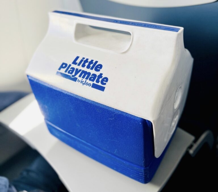 A small blue and white cooler sitting on a backseat tray on an airplane.