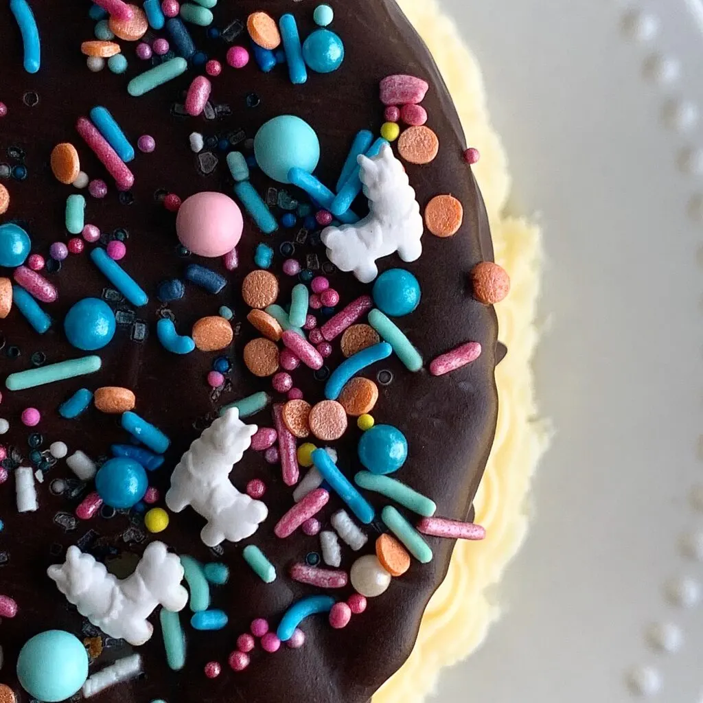 gluten and dairy free cake with chocolate ganache dripping down the edge and sprinkles