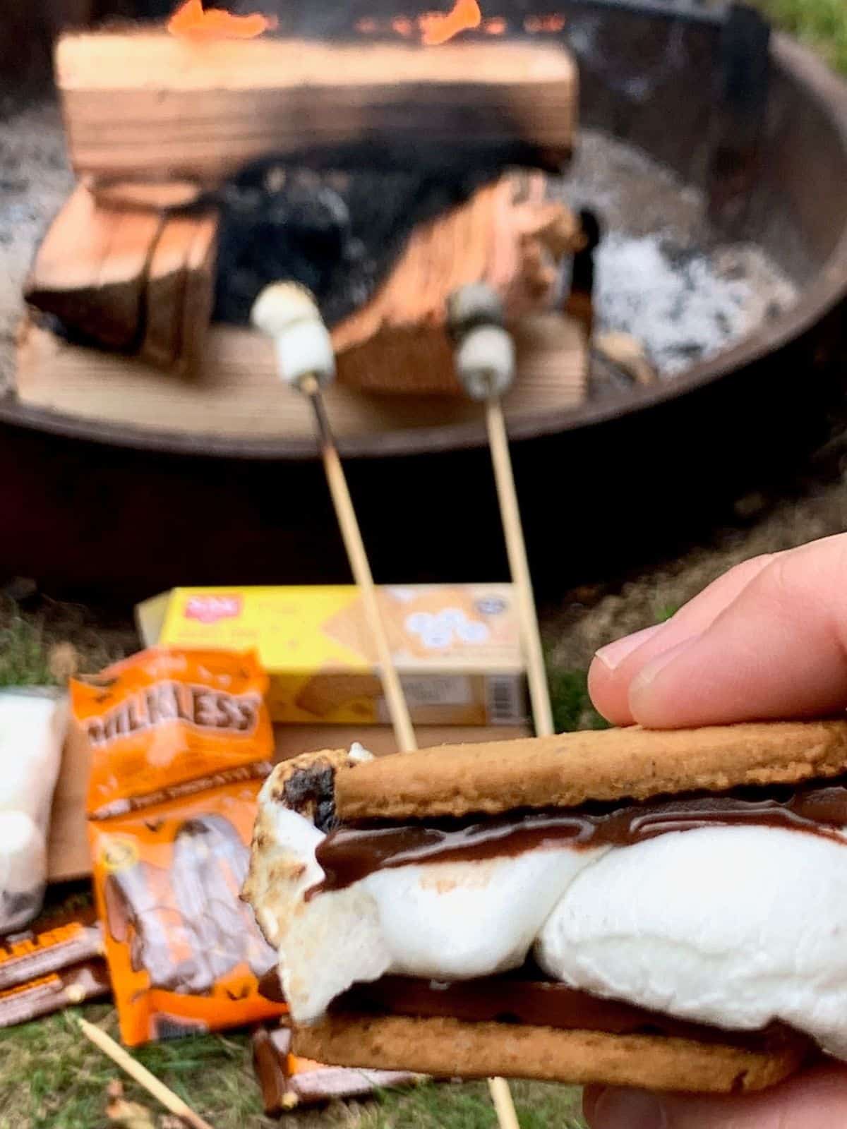 GLuten and dairy free smores.