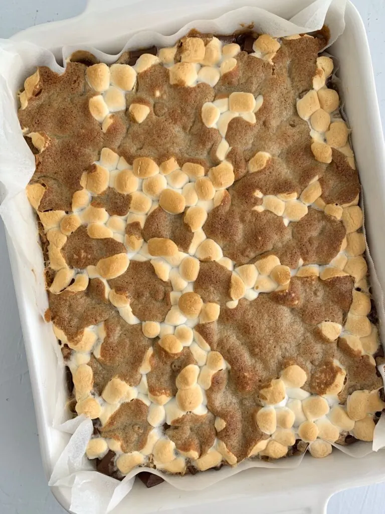 A pan of baked s'more cookie bars