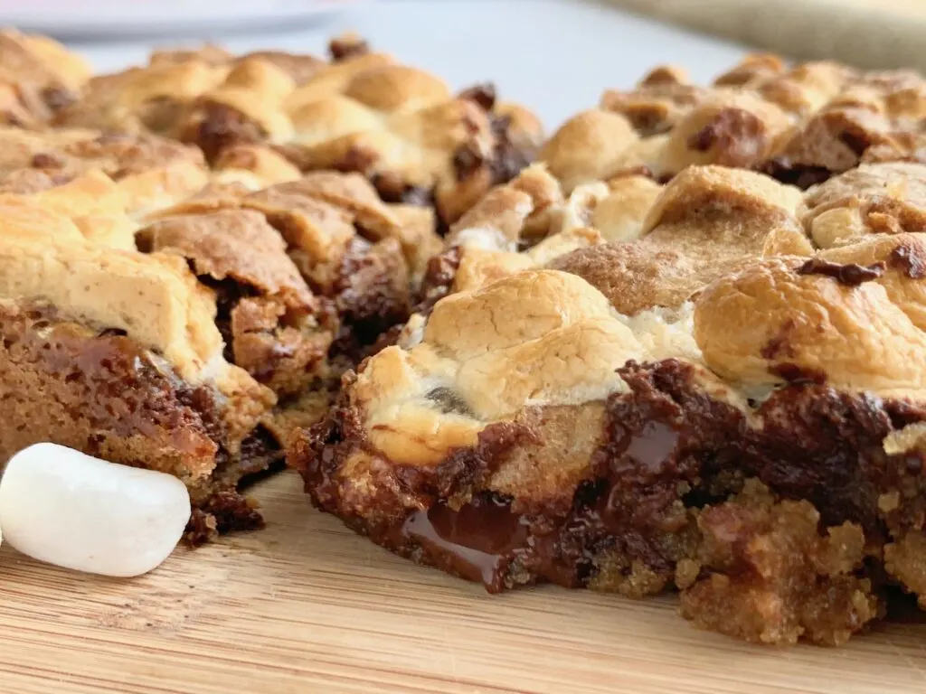 Ooey gooey melted chocolate in a s'more cookie bar