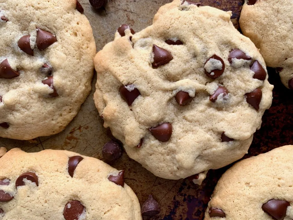 Warm chocolate chip cookies