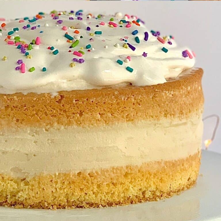 Close up looking at a dairy free ice cream cake.