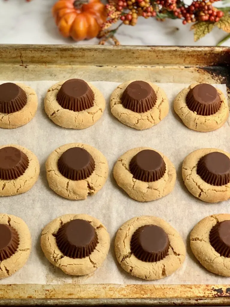 Peanut butter cookies with an upside down peanut butter cup, with edible eyes,  and frosting for 4 legs on each side.