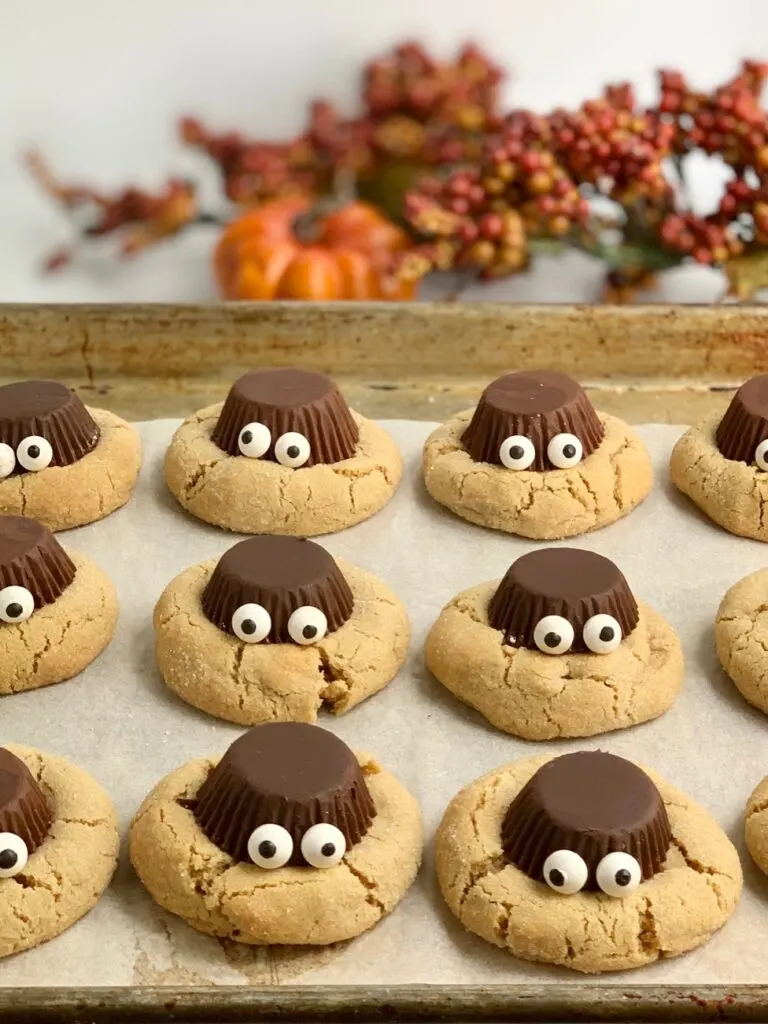 Peanut butter cookies with an upside down peanut butter cup, with edible eyes,  and frosting for 4 legs on each side.