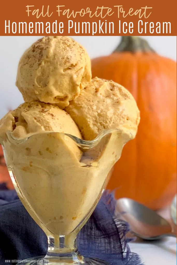 An old fashioned ice cream bowl with 3 big scoops of pumpkin ice cream.