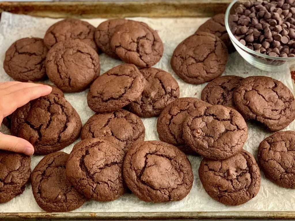 A hand reaching for a fudgy brownie cookies