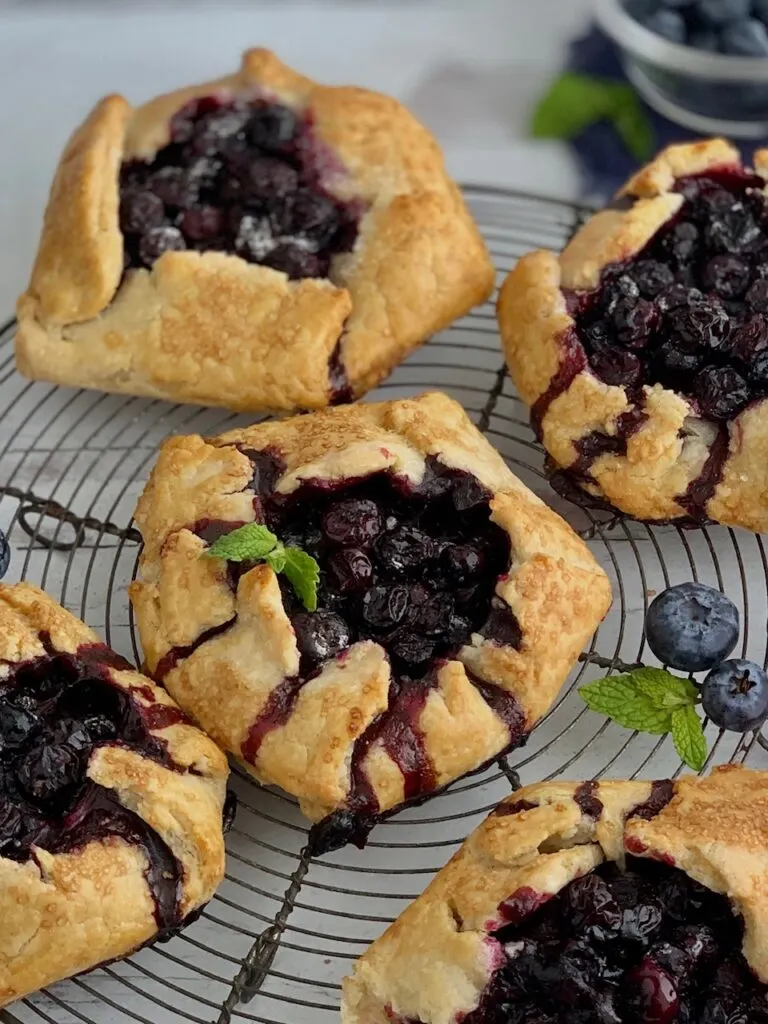 A rustic version of a blueberry pie. A flat pie crust with formed sides to hold a blueberry filling surrounded by more galettes on all sides. On top is a fresh mint leave.