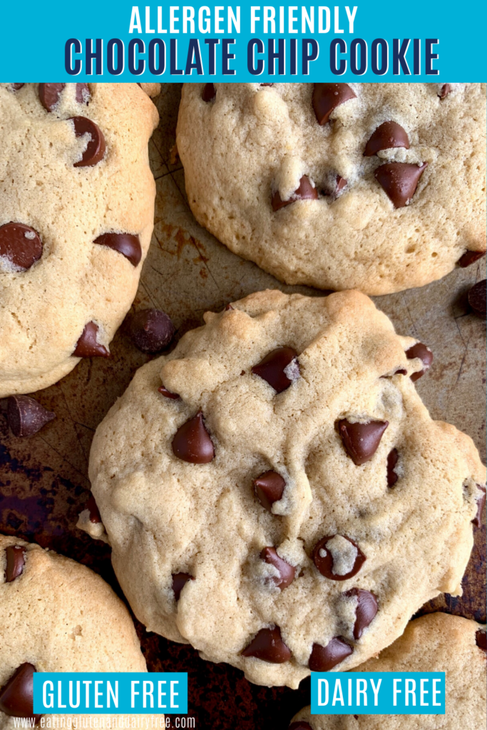 A baking sheet full of baked chocolate chip cookies