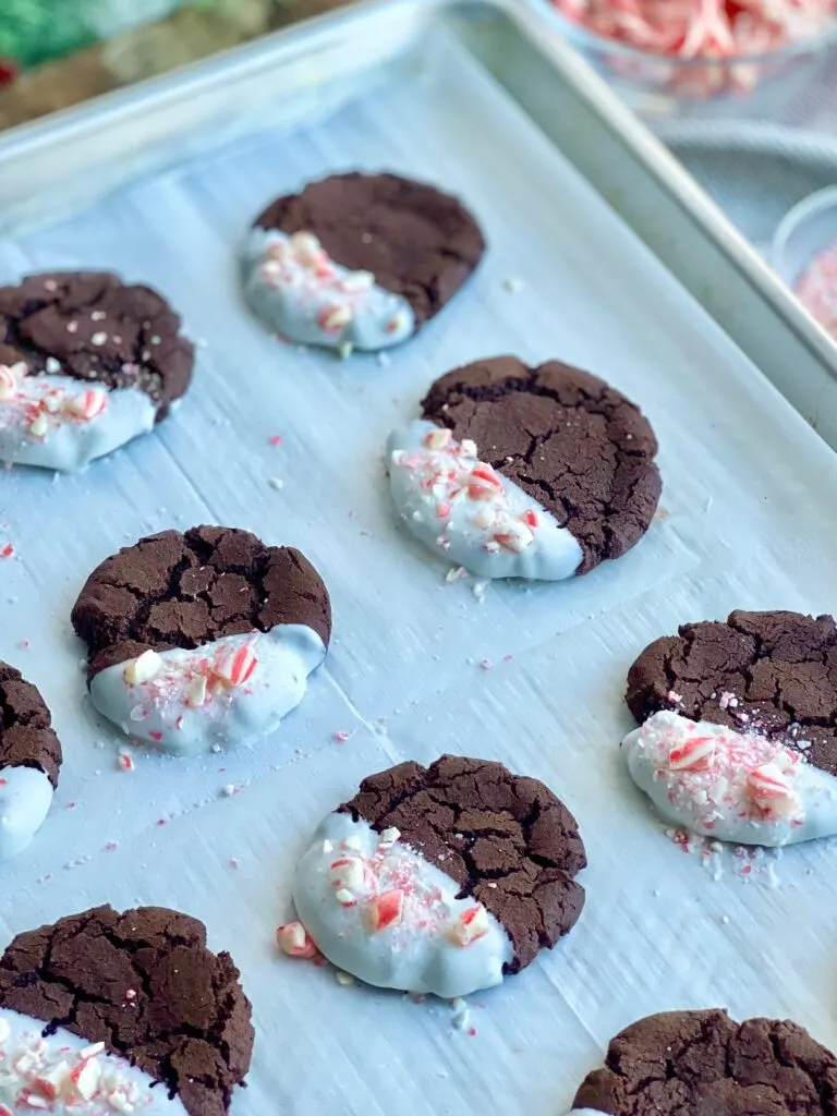 A baking pan full of dark brown round cookies with half with half of the cookie dipped in melted white chocolate and candy cane pieces sprinkled on top.