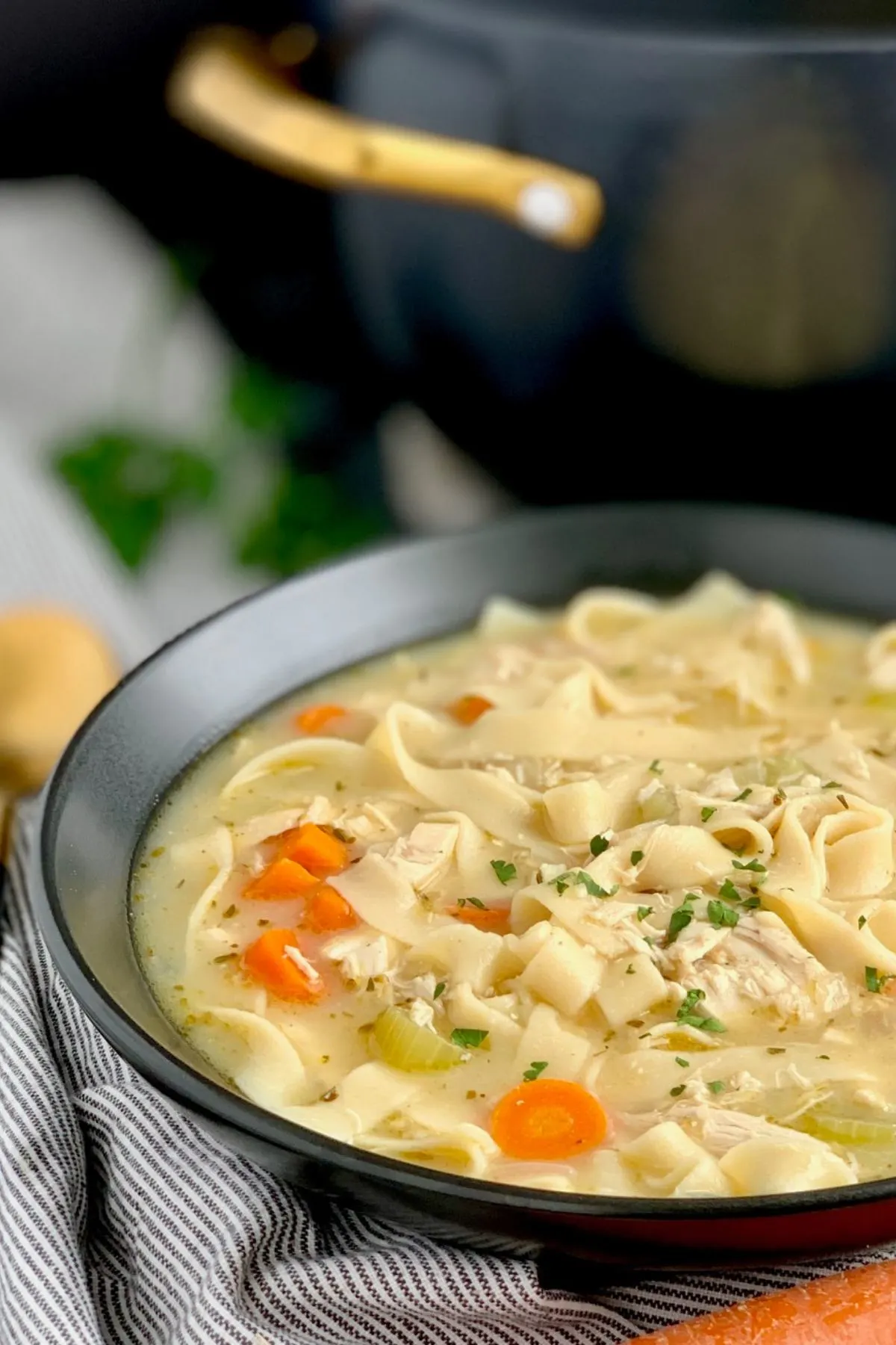 A bowl of homemade soy free, dairy free, gluten free chicken noodle soup. 