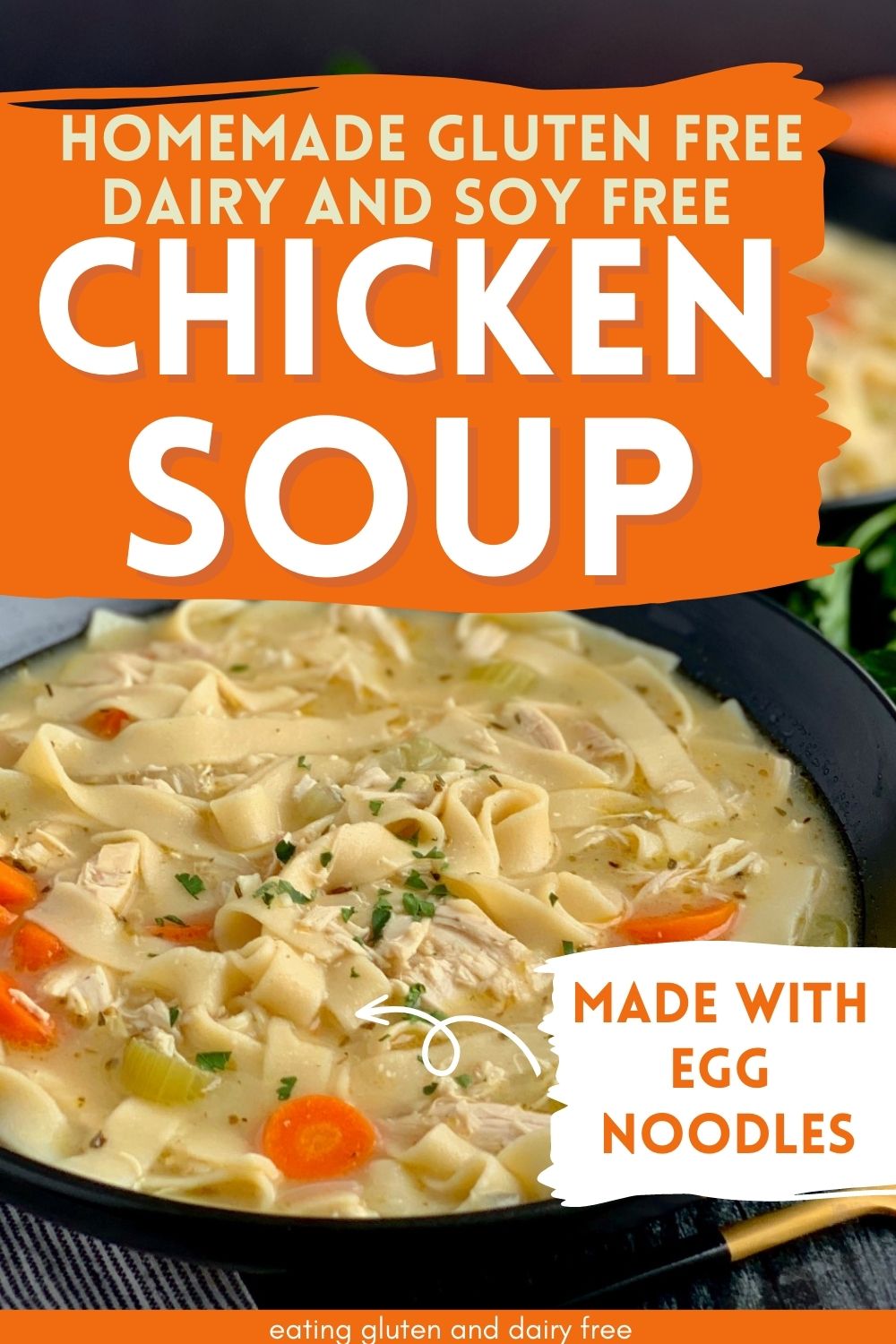 A pot of homemade dairy free, soy free, chicken noodle gluten free soup with text overlay. 