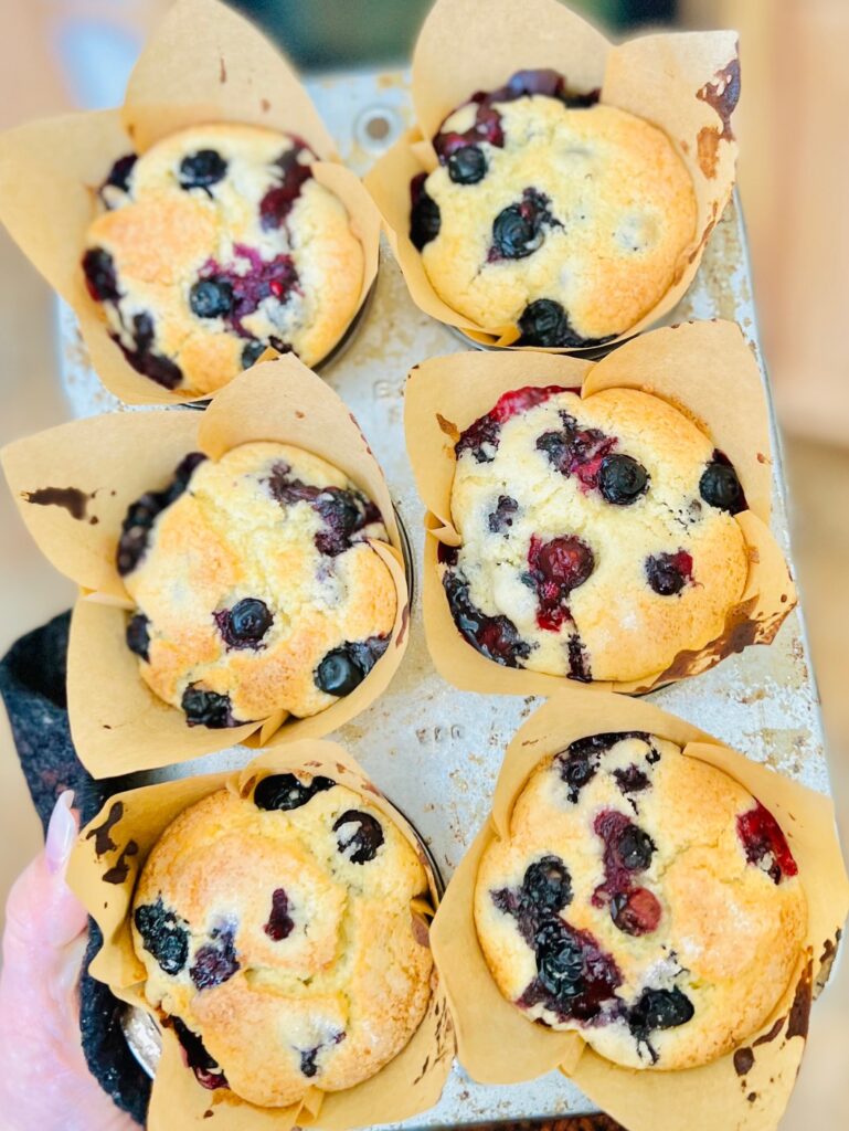 A hand holding a 6 cavity metal muffin pan filled with light brown tulip cupcake liners. Inside the liners is a soft brown colored muffin with blueberries everywhere.