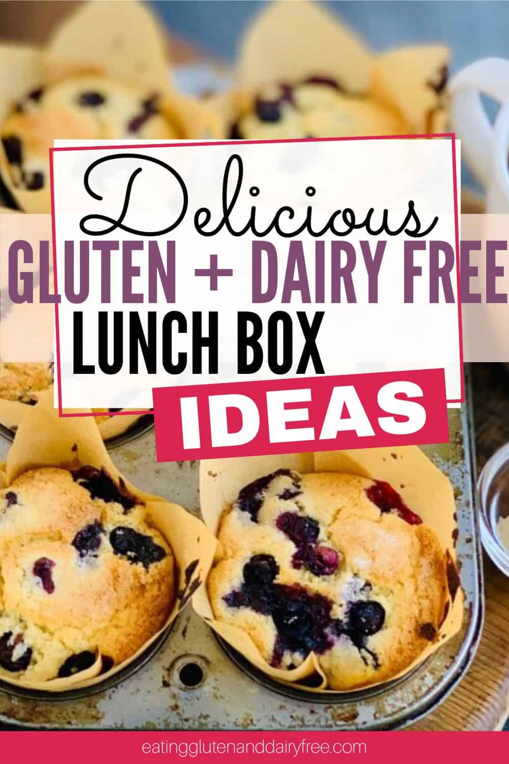 Easy and delicious gluten and dairy free lunch box lunch and snack ideas.